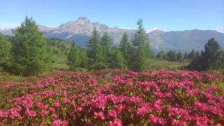 Bed & Breakfast Barba Bertu di Frassino - 6
