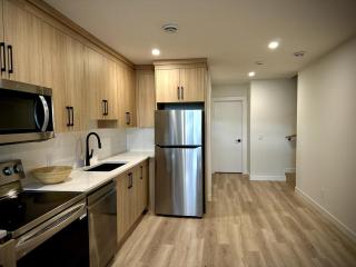Modern Luxury Basement Suite - 0