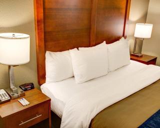 Comfort Inn Conference Center Pittsburgh Penn Hills - 3