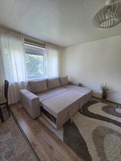Cozy 3-bedroom home with fireplace and open-plan kitchen - 7