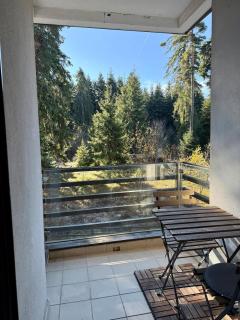 FrostLine Peak Borovets Ski Forest Retreat - 1