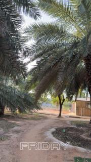 منتجع النادر الريفي - 1