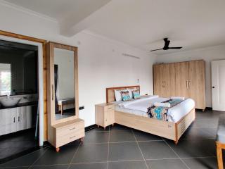 Grand Riverview Penthouse Attic Baga-Arpora - 4