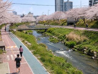 모던한 평지숙소 홍대16분 공항철도 용이 역근처 최대6인 - 4