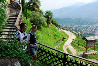 Hotel Gasthof Waldschenke - Marling - 3