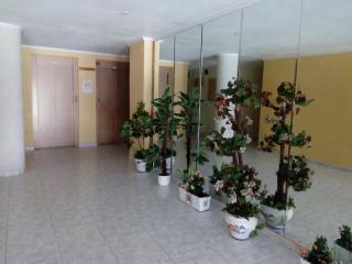 Apartment only 250m from the beach Los Locos - Torrevieja - 7
