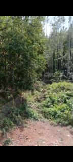 Honey home stay - 1