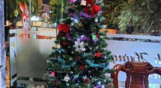 Binh Hung Hotel - 3