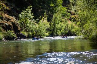 Russian River Camping Resort One-Bedroom Cabin 2 - Cloverdale - 4