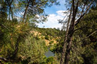Russian River Camping Resort Studio Cabin 4 - Cloverdale - 7