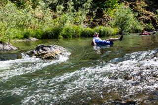 Russian River Camping Resort Studio Cabin 4 - Cloverdale - 4