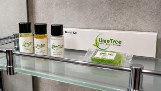 Lime Tree 3BHK Serviced Apartments DLF Phase -5 Gurgoan - 1