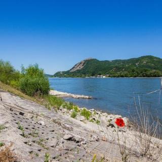 Vár-Lak Nagymaros - 3
