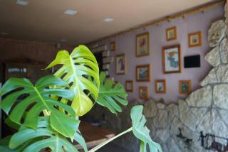 ARTSIV Guesthouse - 5
