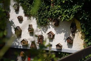 ARTSIV Guesthouse - 4