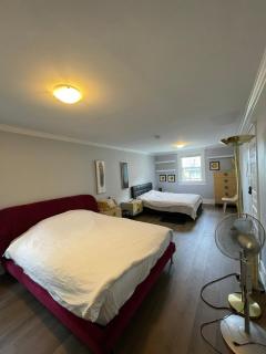2 queen Beds Over 330 sq ft - 9