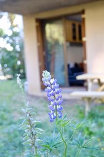 Joli Studio avec jardin - 7