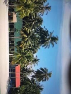 Lances right surf camp - 0