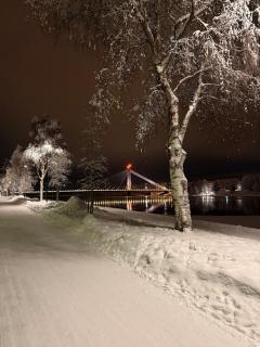 Spacious apartment with sauna by the river - 8