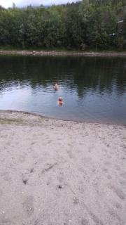 Reisa River Lodge - 2
