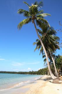 Koh Mak Resort - 8