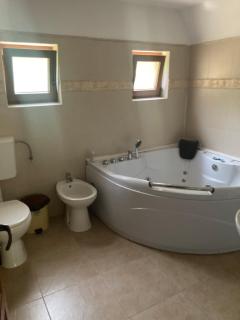 Vila Ianis Bran - 6