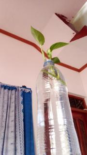 Zeenath Villa - Arugambay - 7
