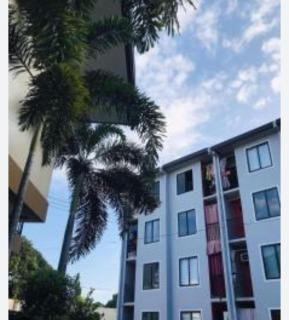 Jamaica's property - 1