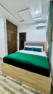 Stylish 3 Bedroom Apartment in Enugu with Fast WiFi, A C, power - 7