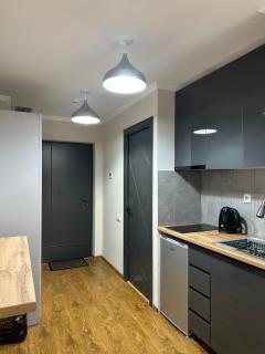 Studio 45 Apartment in Tsaghkadzor - 1