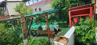 Apartament de vacanta Criss - 3