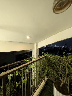Family's penthouse - 3