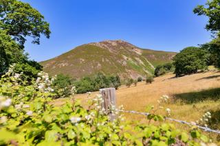 Finest Retreats - Wern Cottage - 6