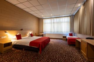Hotel INGREDI - 9