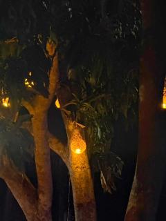 The Nest Holiday Resort - Mihintale Anuradhapura - 7