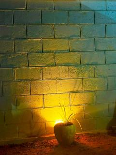 The Nest Holiday Resort - Mihintale Anuradhapura - 5