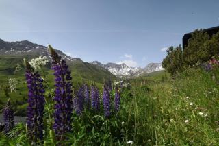 Chalet Christina 7 - 2