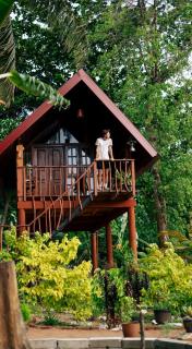 The Rock & Paddy Resort - 3
