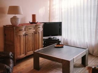 Chalet Mosso, cozy house among the tall trees and birds - 9