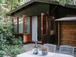 Chalet Mosso, cozy house among the tall trees and birds - 9