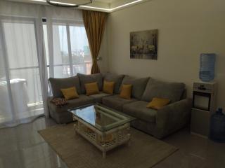 One bedroom Apartment with Great View & Heated Pool on 11th Floor - 6