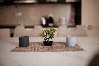 Estilo Apartments - 3