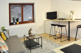 Centrum Comfort Apartment - 9