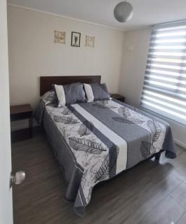 Apartment for rent in Firenze La Serena Condo - 2