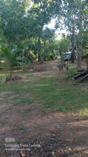 Sandalwood Villa - 8
