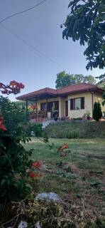 Nature escape cottage - 7