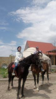 Ак кайын - 0