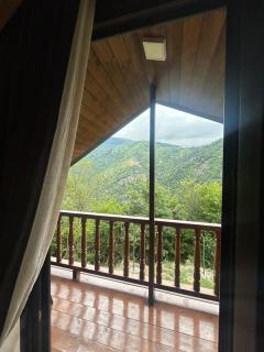 Forest Edge - 6