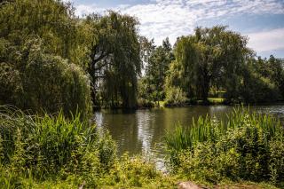 Camping Groenpark - 1