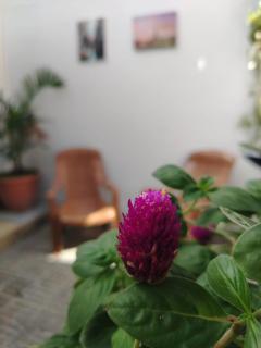 Woodstock House - 7